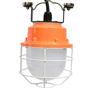50 FT String LED Work Lights for Construction-1