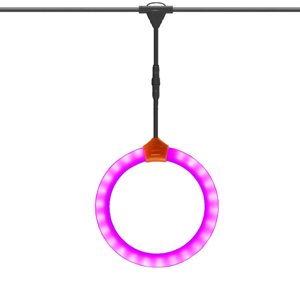Multi-Color LED Hoop Light String for Commercial Decor